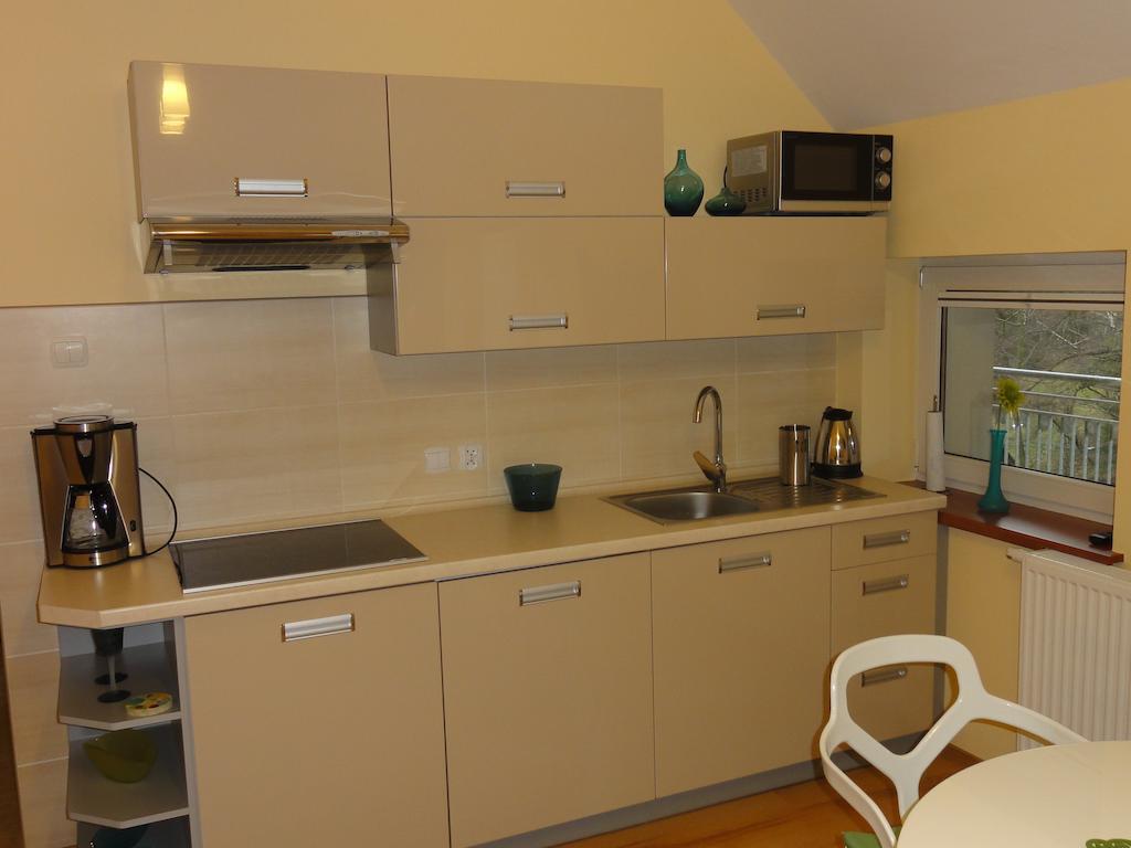 ヴィスワApartament Bukowaアパートメント 部屋 写真