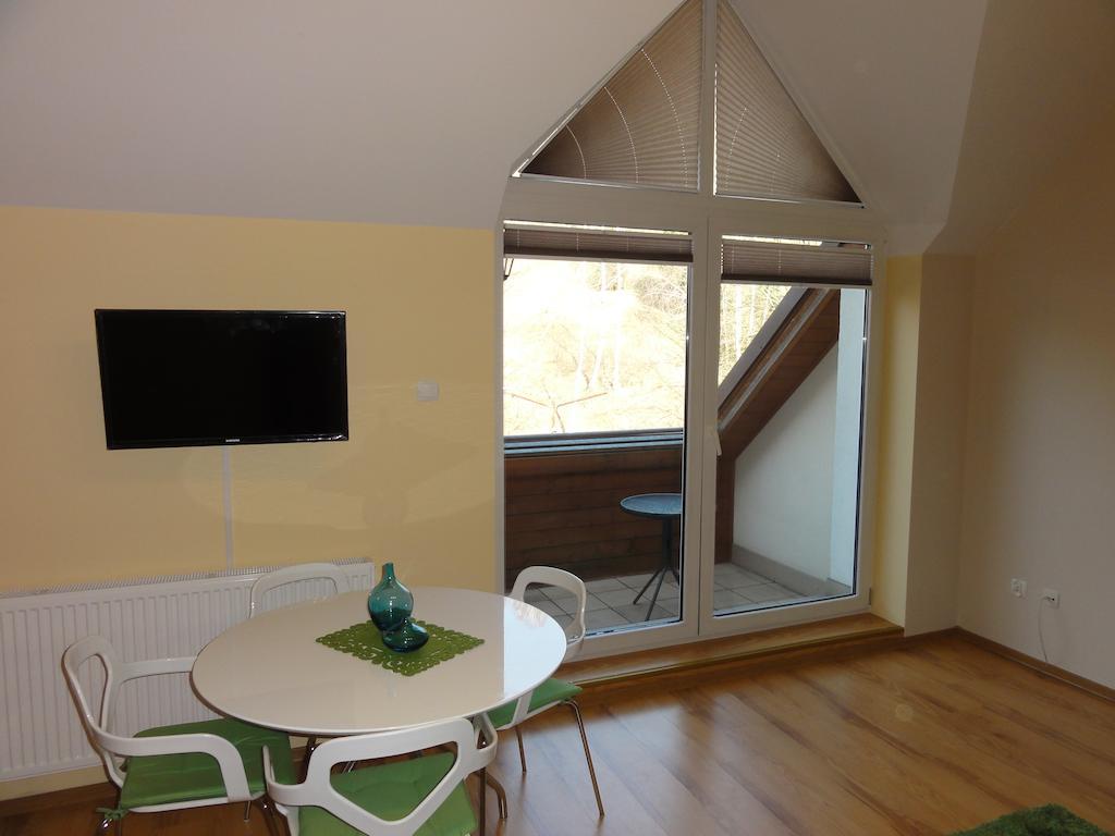ヴィスワApartament Bukowaアパートメント 部屋 写真